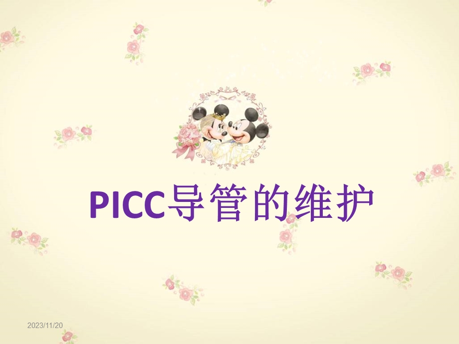 PICC导管的维护.ppt_第1页