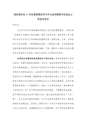 组织部长在11月份县委理论学习中心组专题研讨交流会上的发言范文.docx