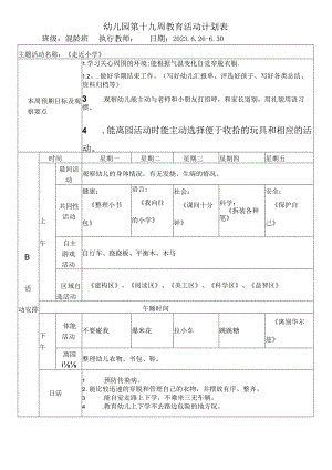 幼儿园第十九周教育活动计划表.docx