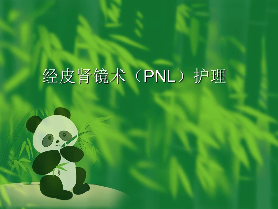 经皮肾镜碎石术护理.ppt_第1页