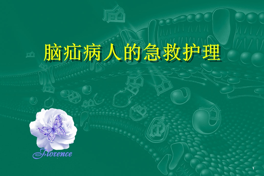 脑疝病人的护理.ppt_第1页