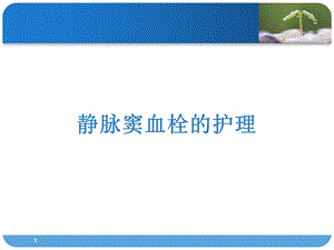 静脉窦血栓的护理.ppt