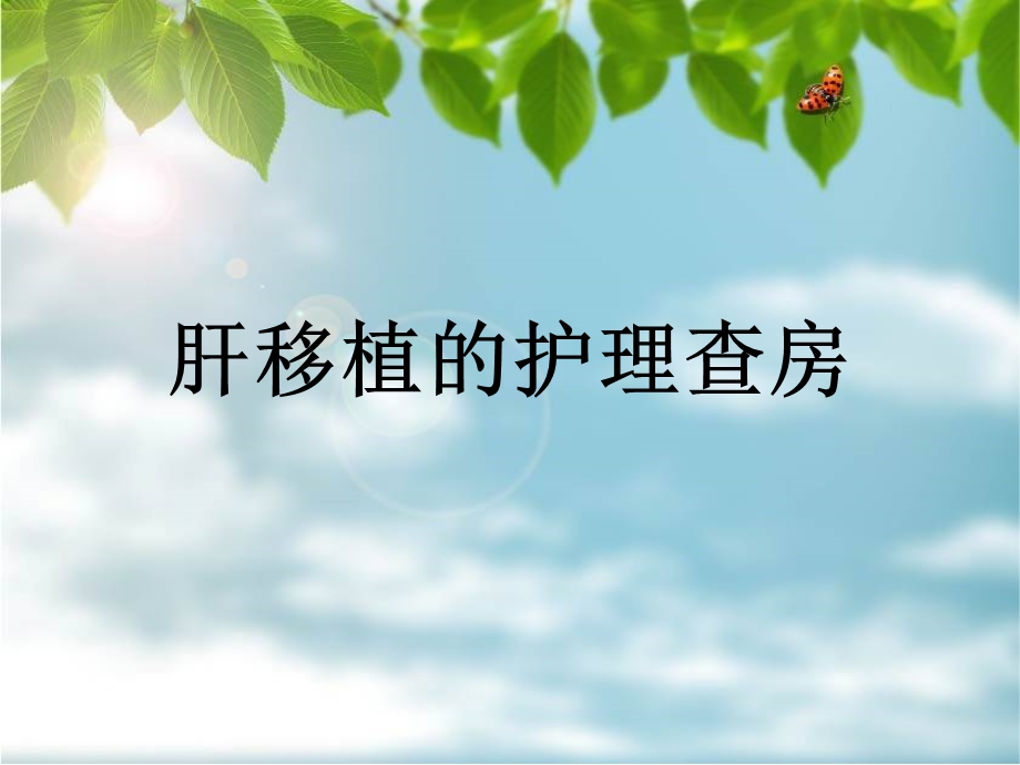 肝移植的护理查房.ppt_第1页