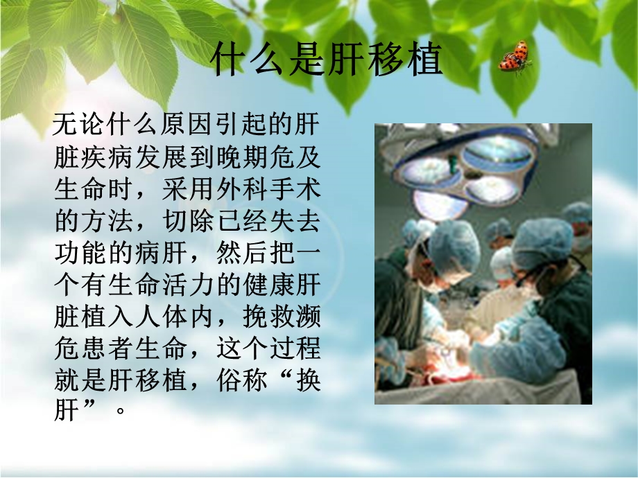 肝移植的护理查房.ppt_第3页