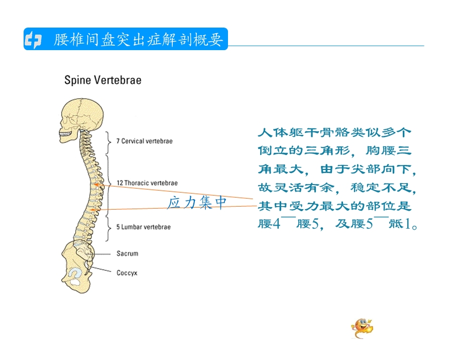 腰椎间盘突出的护理查房1.ppt_第1页