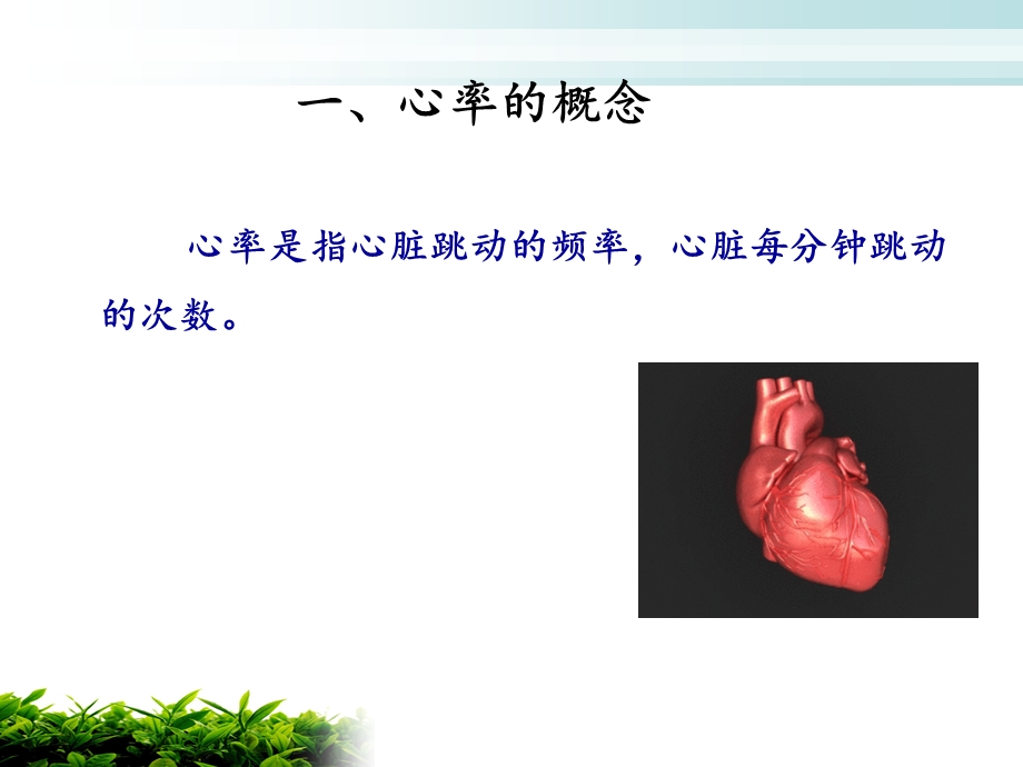 脉搏的观察与护理.ppt_第3页