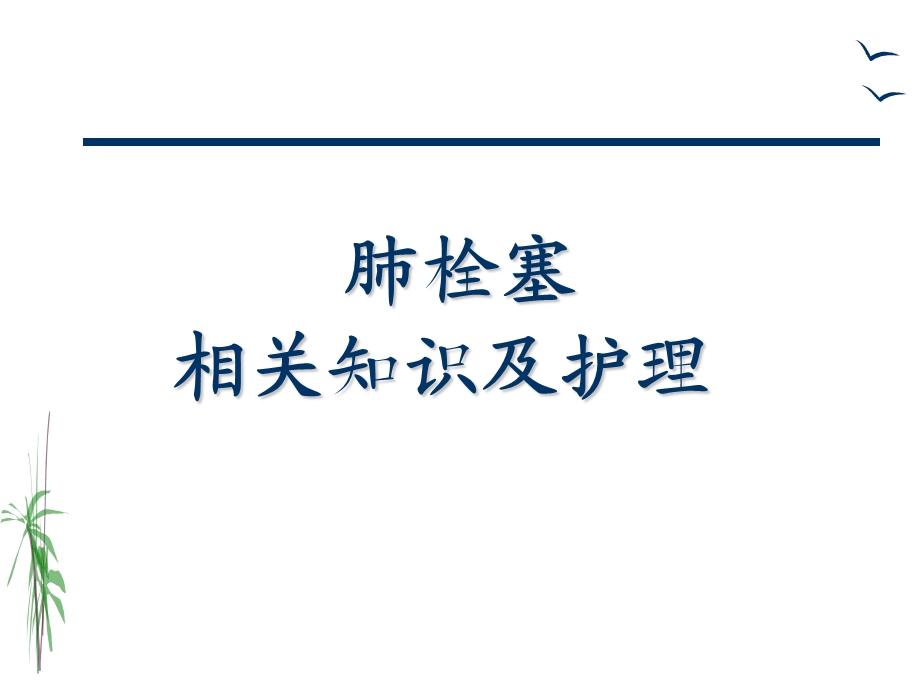 肺栓塞的治疗与护理.ppt_第1页