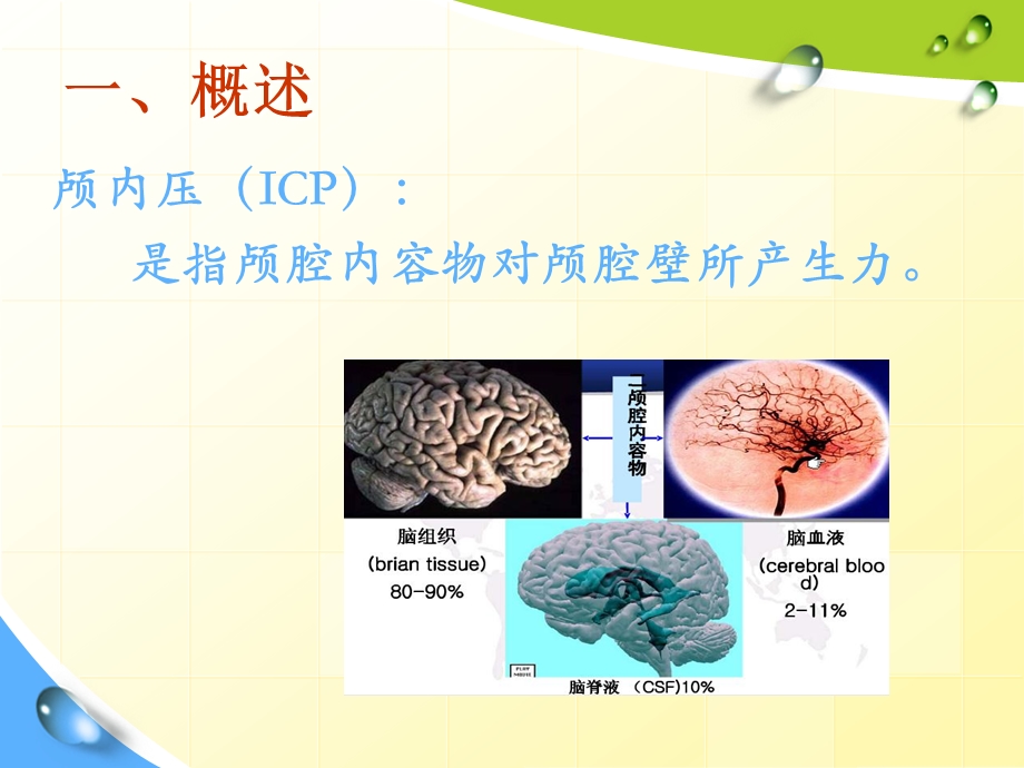 颅内压增高的护理.ppt_第2页