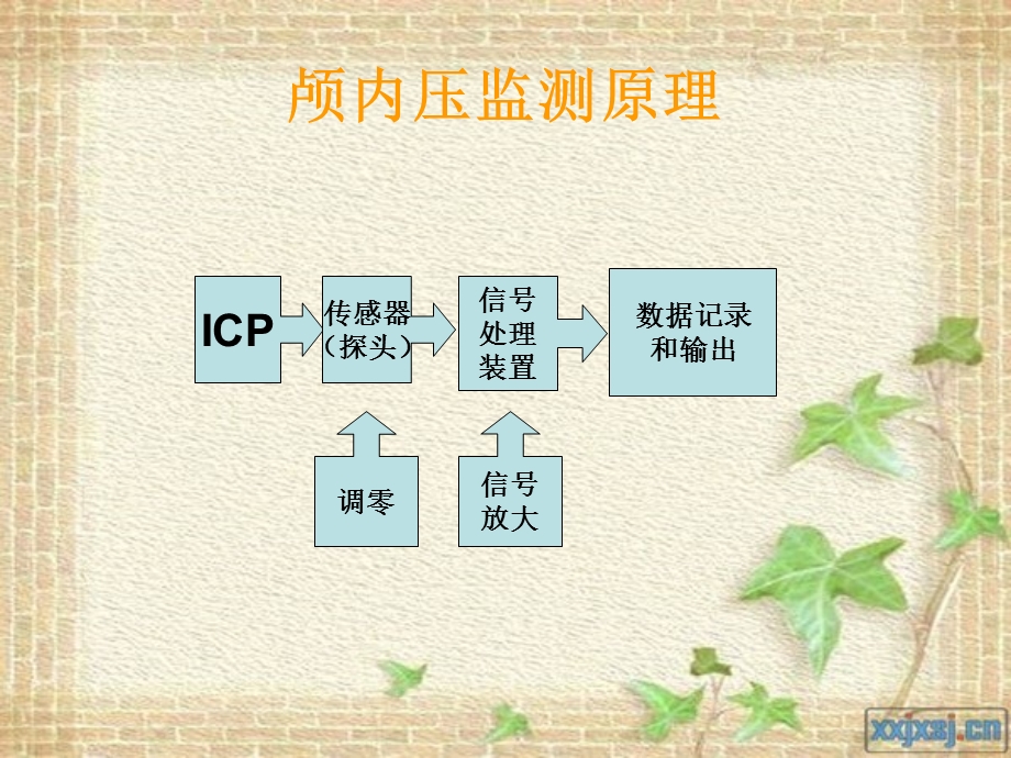 颅内压监测及护理.ppt_第3页