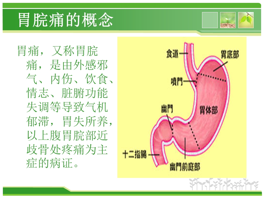 胃脘痛中医护理查房.ppt_第2页