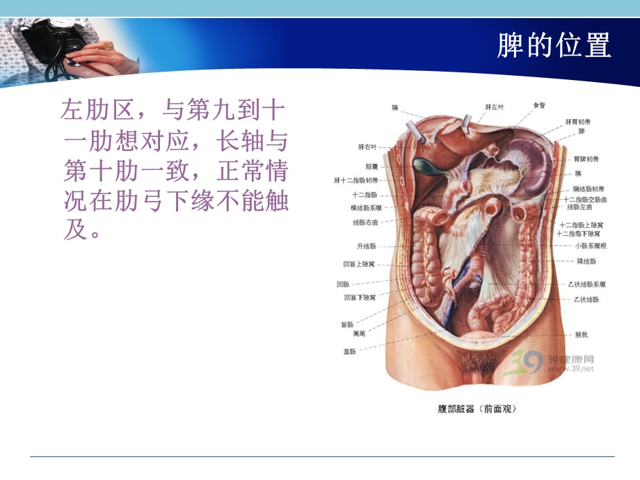 脾破裂的急救与护理.ppt_第3页