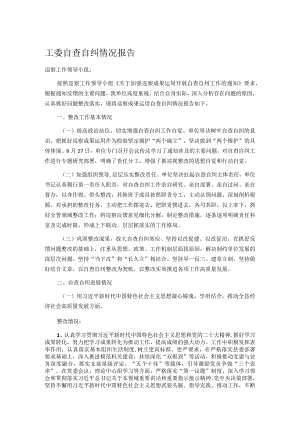 工委自查自纠情况报告.docx