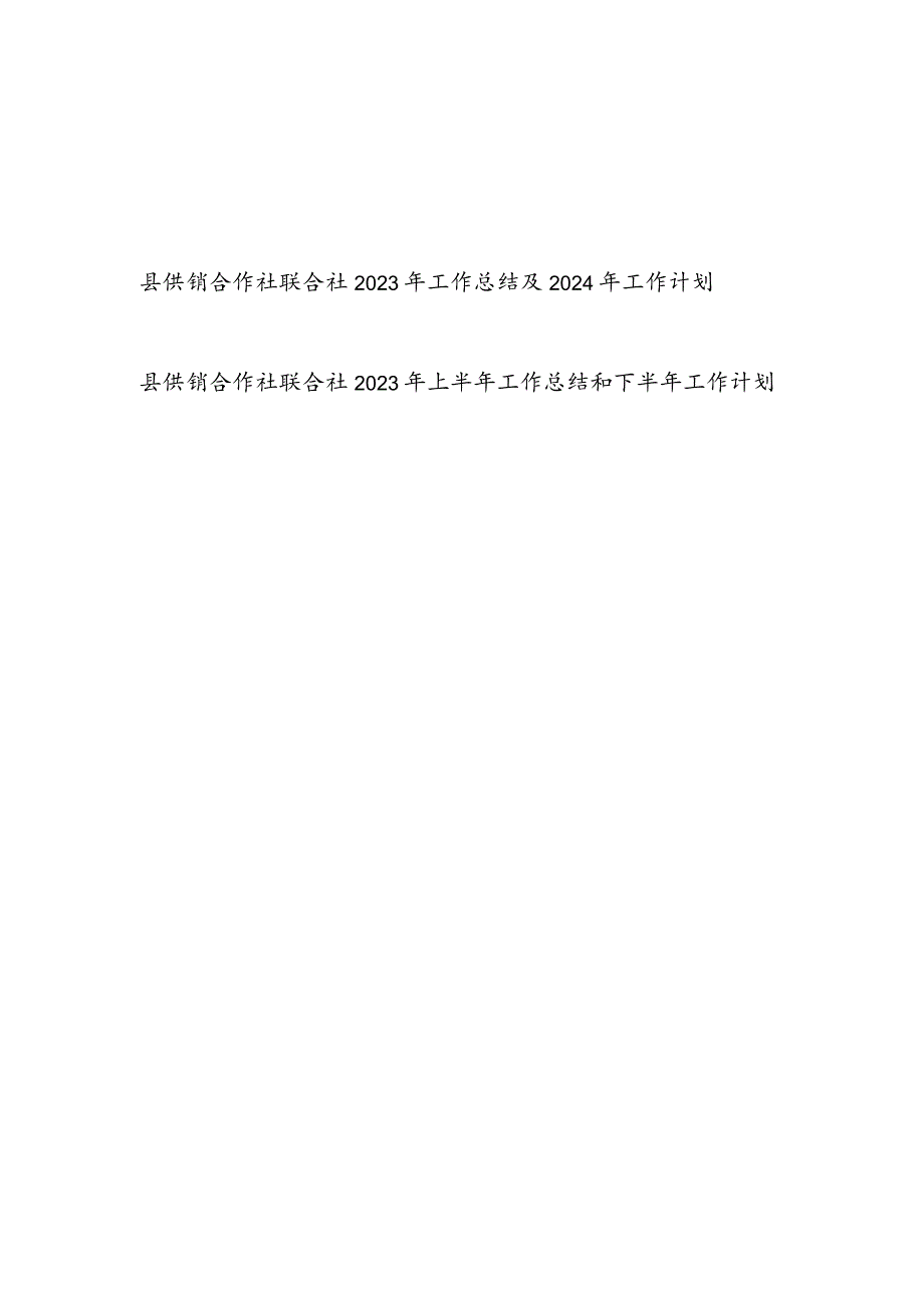 某县供销合作社联合社2023年度工作总结及2024年工作计划思路打算.docx_第1页