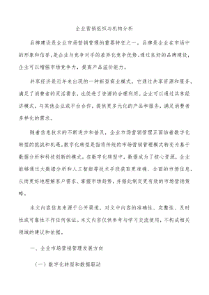 企业营销组织与机构分析.docx