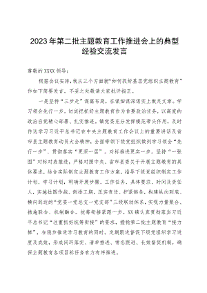 在第二批主题教育工作推进会上的典型经验交流发言.docx