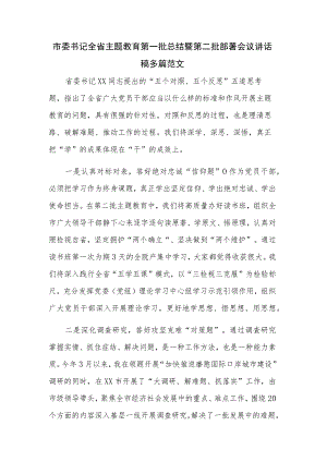 市委书记全省主题教育第一批总结暨第二批部署会议讲话稿多篇范文.docx