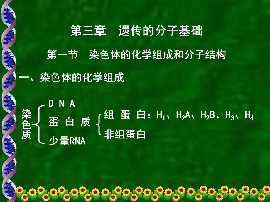 医学遗传学分子基础.ppt_第1页