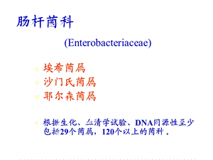 教学PPT肠科杆菌.ppt