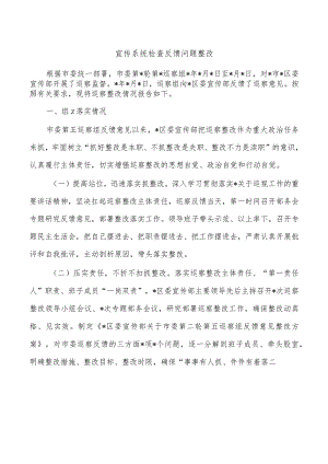 宣传系统检查反馈问题整改.docx