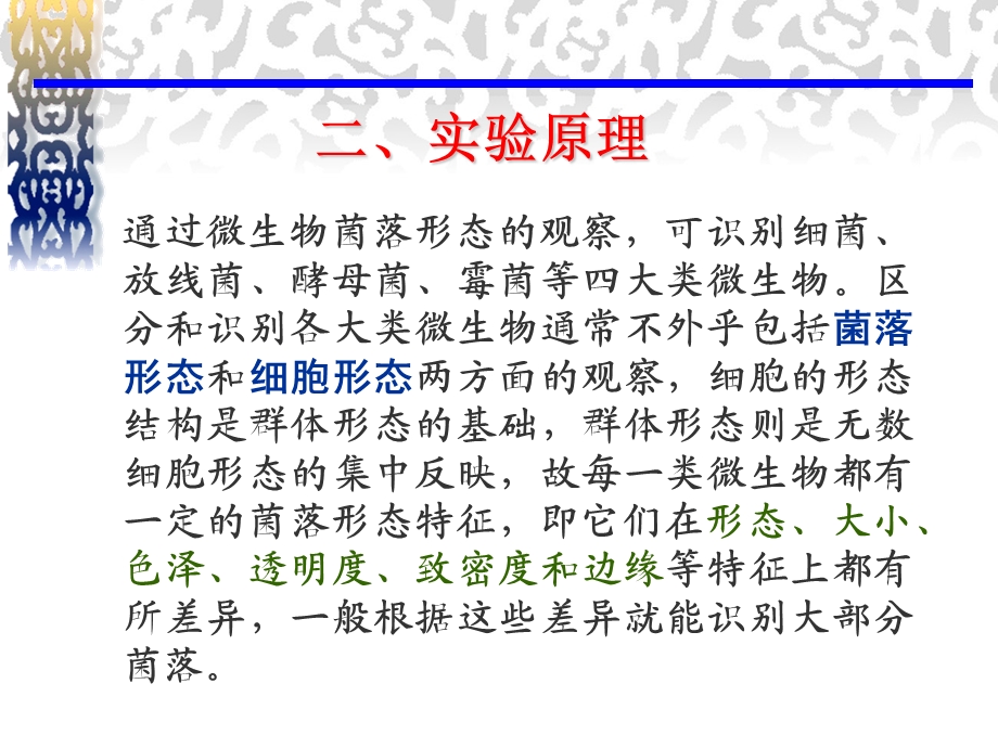 原核、真核微生物个体形态观察及四大类微生物菌落形态的识别.ppt_第3页