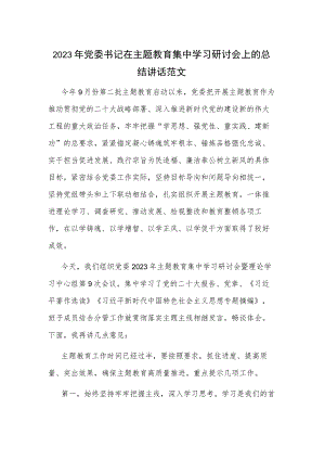 2023年党委书记在主题教育集中学习研讨会上的总结讲话范文.docx