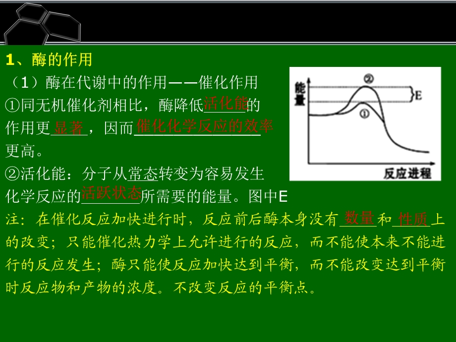 酶、ATP在代谢中的作用.ppt_第2页