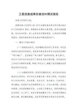 工委巡查成果自查自纠情况报告.docx