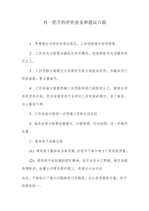 对一把手的评价意见和建议六篇.docx