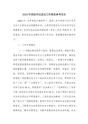 2023年党组书记述法工作报告参考范文.docx