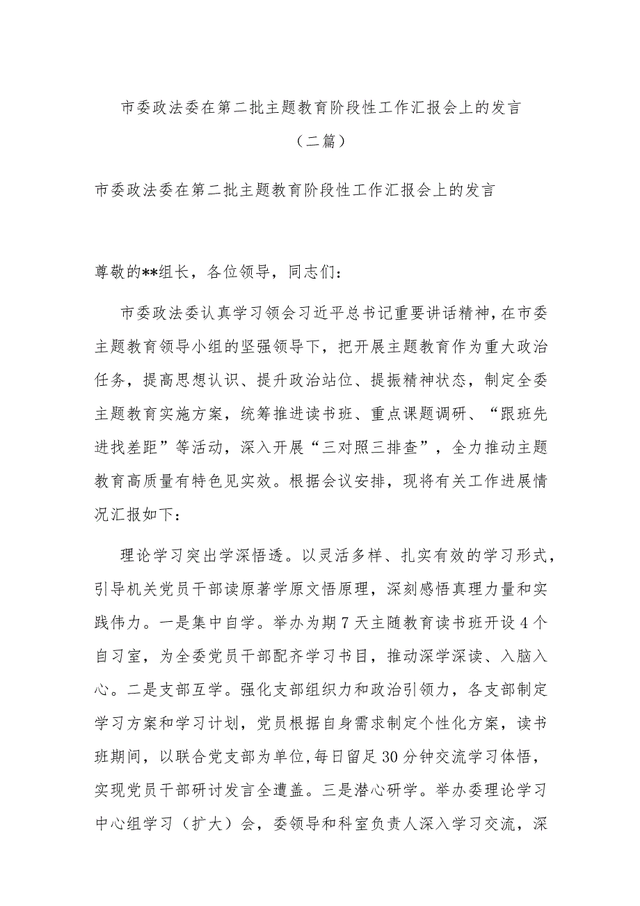 市委政法委在第二批主题教育阶段性工作汇报会上的发言(二篇).docx_第1页