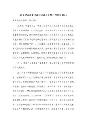 在全省审计工作调研座谈会上的汇报发言2023.docx