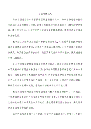 企业总体战略.docx