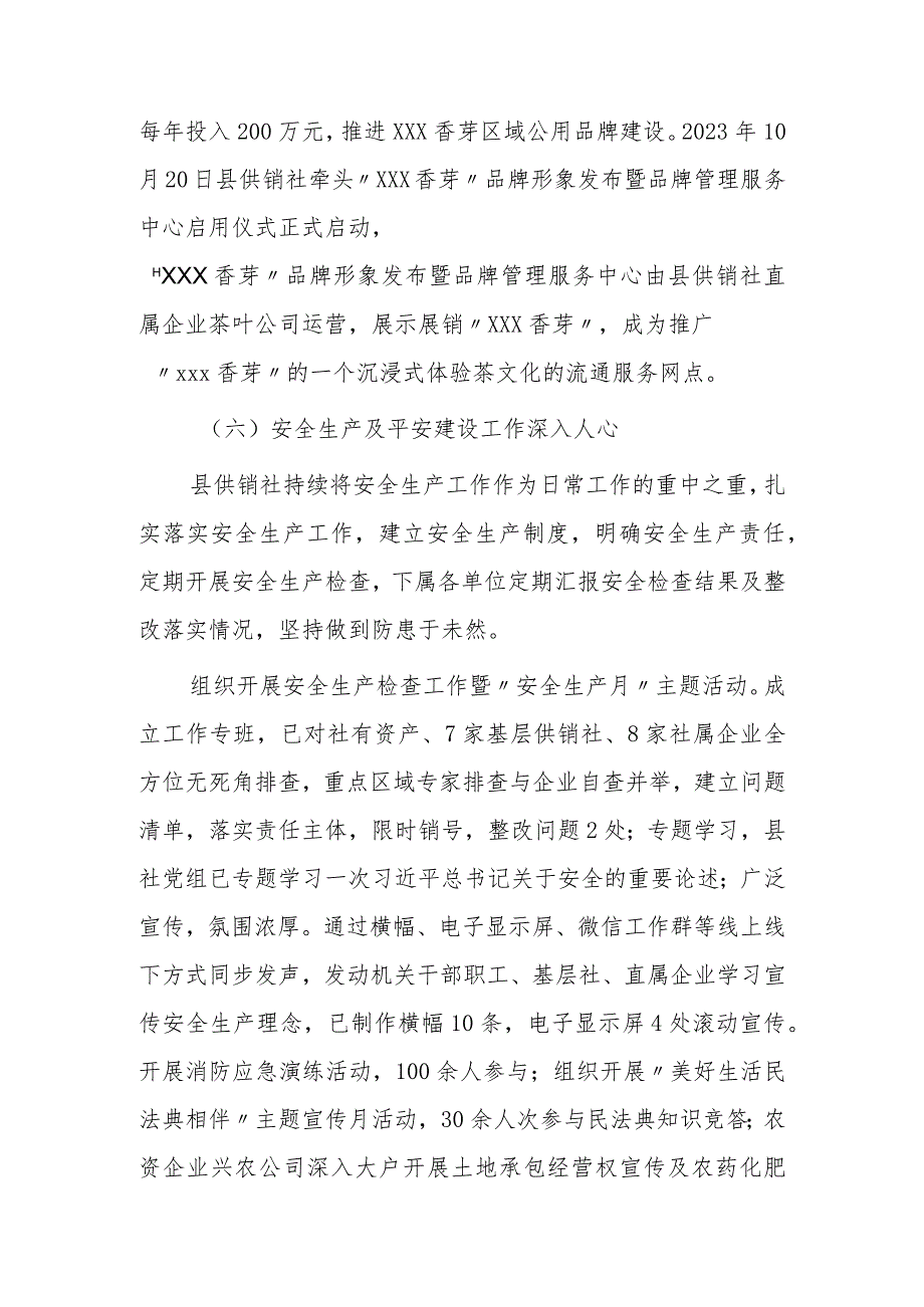 县供销社2023年工作总结和2024年工作安排.docx_第3页