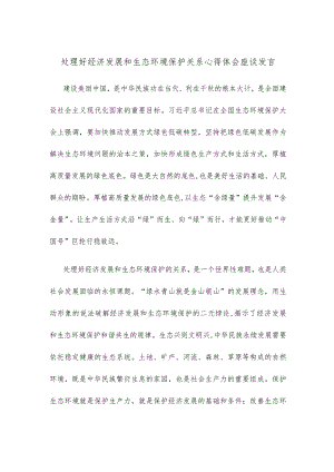 处理好经济发展和生态环境保护关系心得体会座谈发言.docx