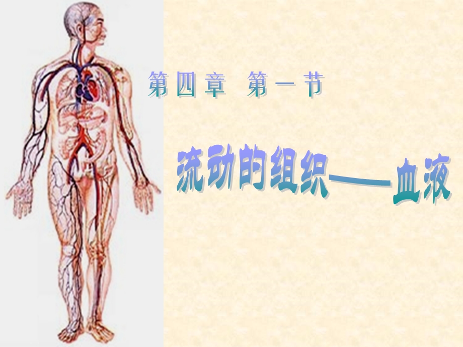 流动的组织血液.ppt_第1页