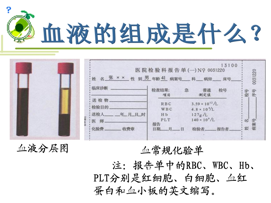 流动的组织血液.ppt_第3页