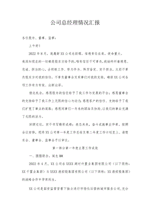 公司总经理情况汇报.docx