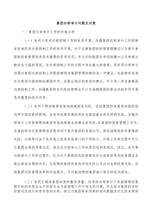 集团内部审计问题及对策.docx