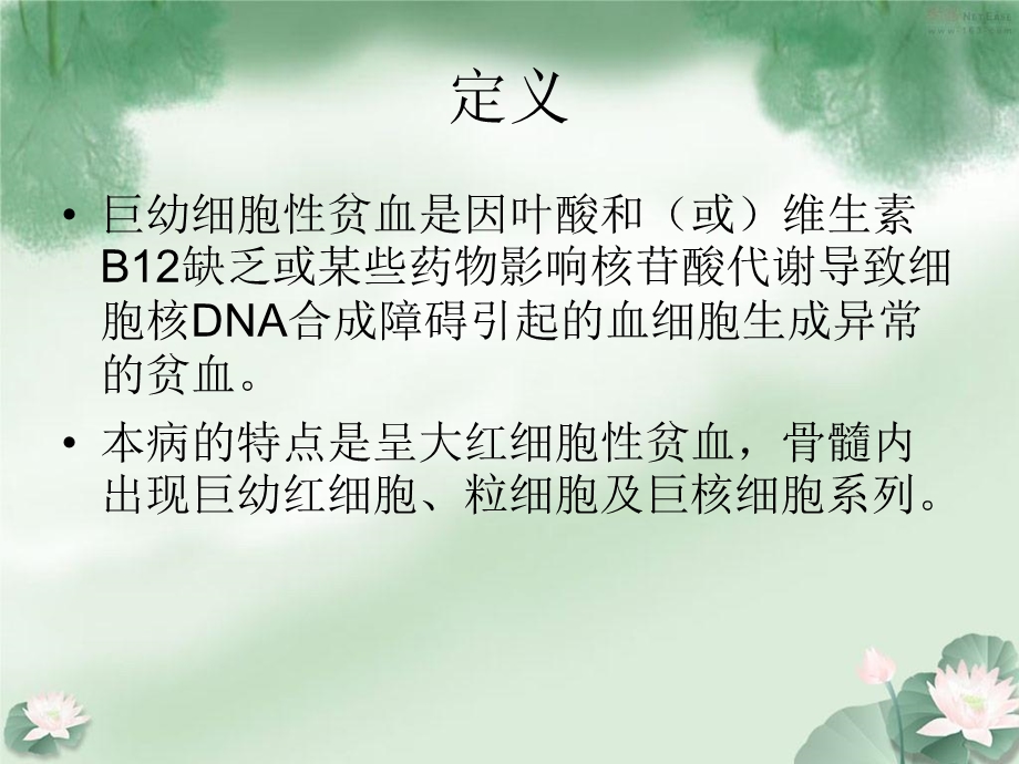 巨幼红细胞性贫血诊断和治疗.ppt_第2页