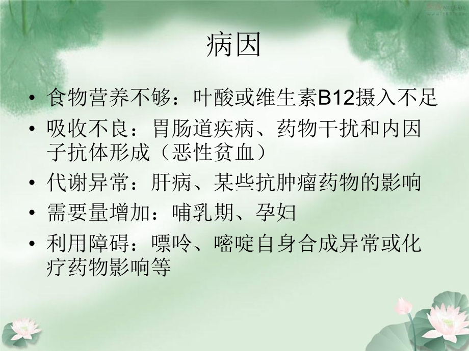 巨幼红细胞性贫血诊断和治疗.ppt_第3页