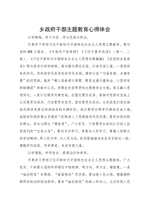 乡政府干部第二批主题教育学习心得体会.docx