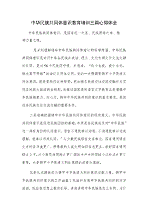 中华民族共同体意识教育培训三篇心得体会.docx