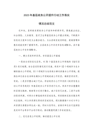 2023年基层政务公开提升行动工作落实情况总结范文.docx