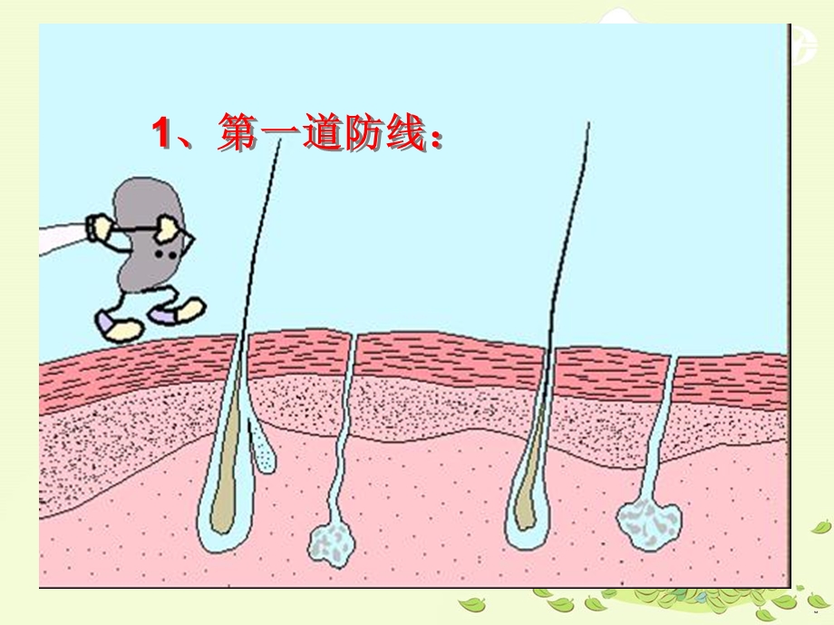 免疫与计划免疫.ppt_第3页