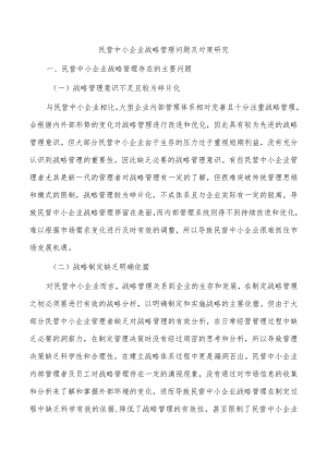 民营中小企业战略管理问题及对策研究.docx