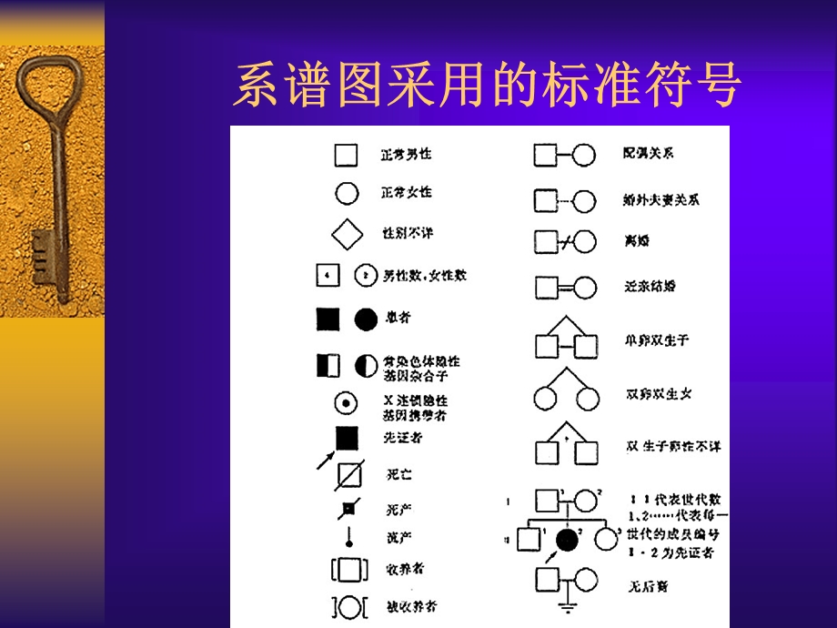 医学遗传学基础教学课件PPT.ppt_第3页