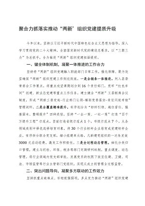 县委书记在全市“两新”组织党建工作会议上的汇报发言.docx