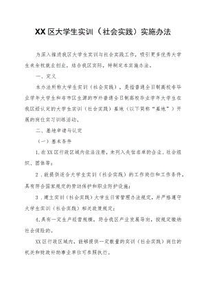 XX区大学生实训（社会实践）实施办法.docx