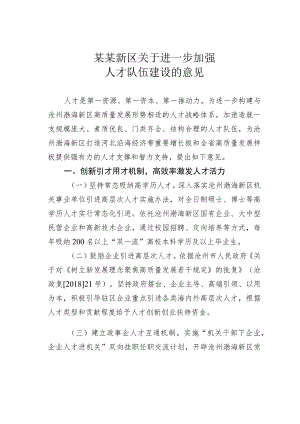 某某新区关于进一步加强人才队伍建设的意见.docx