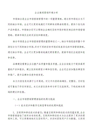 企业微观营销环境分析.docx